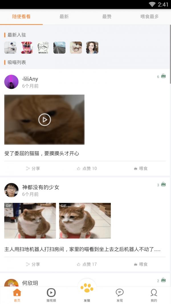 养猫圈