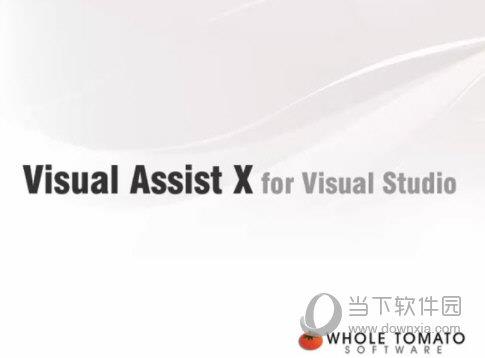 visual assist x2022破解版 V10.9.2451 免费版