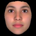 Facegen Artist pro(人脸模型制作软件) V3.8 官方版