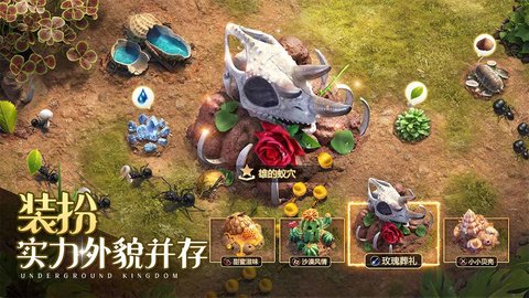 小小蚁国bilbili版 1.41.0 安卓版2