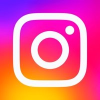 instagram汉化版 294.0.0.33.87 安卓版