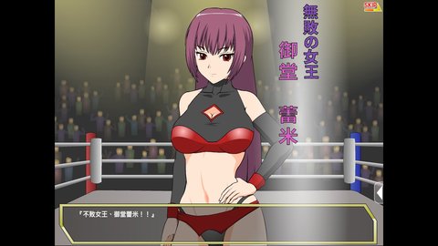 斗技女王蕾米中文版 1.0 安卓版3