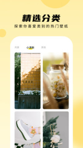 轻享壁纸app 1.0.0.101 安卓版2