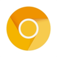 Chrome Canary 119.0.5997 安卓版