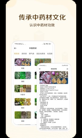 经络穴位指南App 1.0 安卓版3