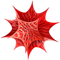 Wolfram Mathematica V12.2 中文免费版