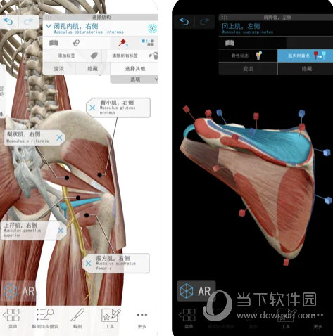 人体解剖学图谱2021破解版 V2021.1.68 PC免费版