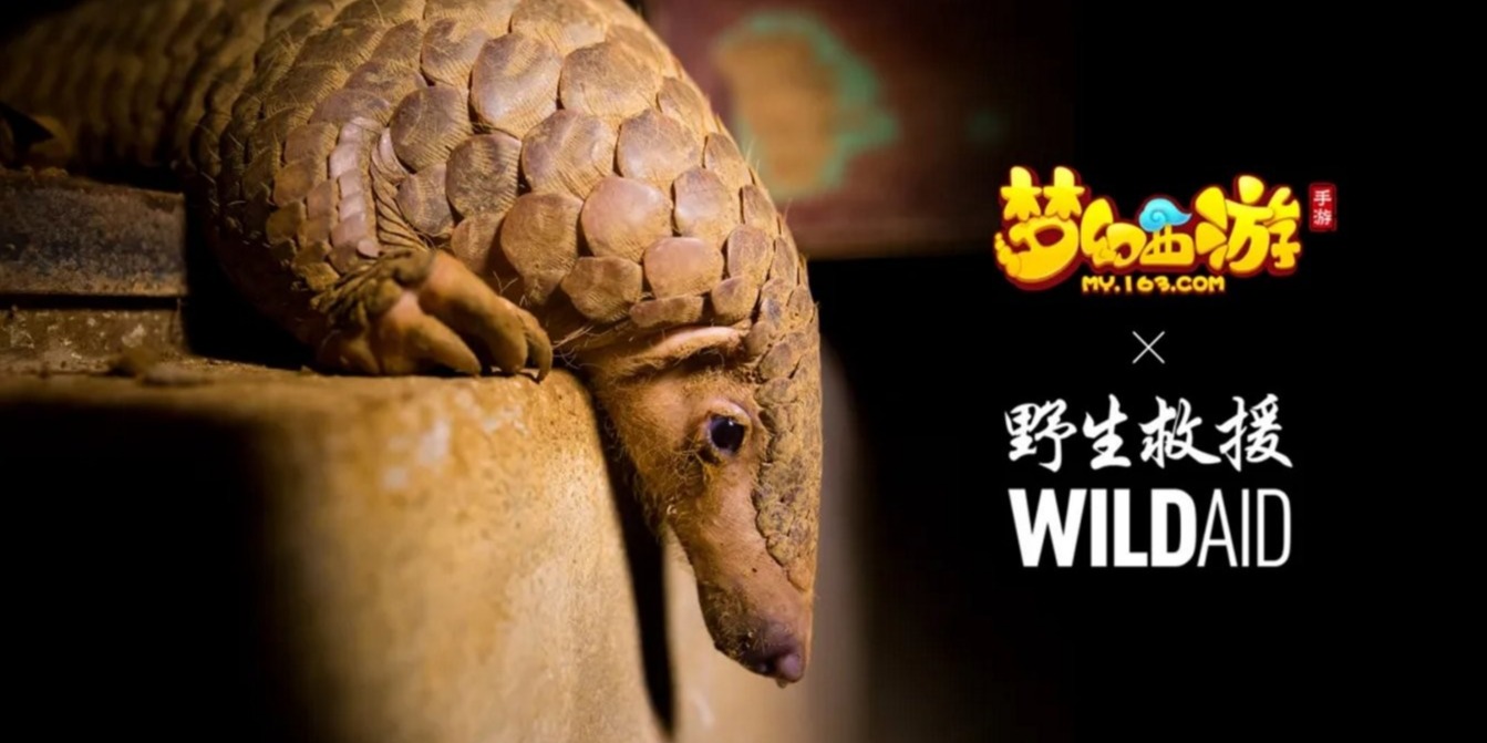《梦幻西游》手游携手WildAid打造野生动物保护新玩法