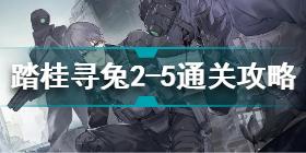 战双帕弥什踏桂寻兔2-5怎么过 战双帕弥什踏桂寻兔2-5攻略