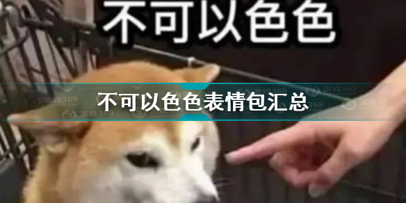 不可以色色表情包汇总 可以色色柴犬表情包合集