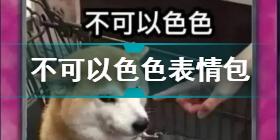 不可以色色表情包汇总 可以色色柴犬表情包合集