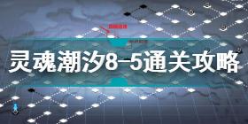 灵魂潮汐8-5怎么通关 灵魂潮汐8-5通关攻略