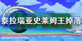 泰拉瑞亚史莱姆王掉落物品有哪些 泰拉瑞亚史莱姆王掉落物品一览