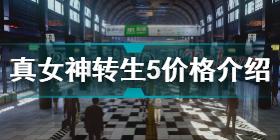 真女神转生5价格介绍 真女神转生5各区售价一览