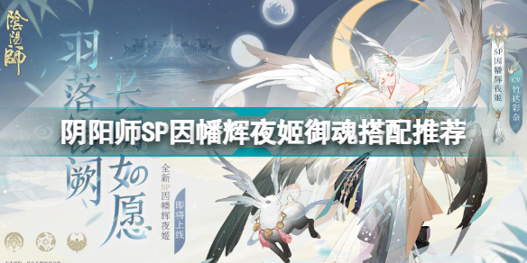 阴阳师因幡辉夜姬御魂怎么搭配 阴阳师SP因幡辉夜姬御魂搭配推荐