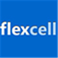 FlexCell破解版 V6.3.4 中文免费版