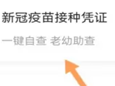 郑好办怎么查接种记录 疫苗记录都在这里