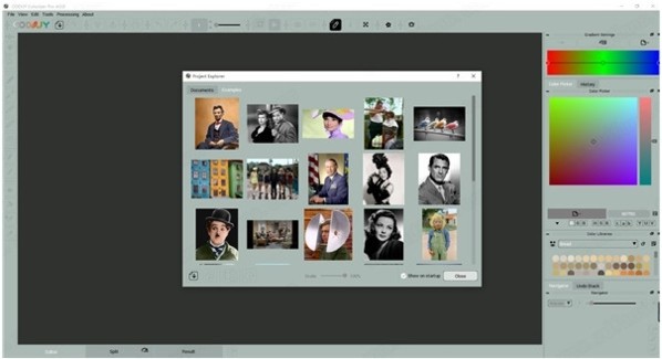 CODIJY Colorizer Pro(照片着色软件)