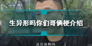 生异形吗你们哥俩是什么梗 生异形吗你们哥俩意思介绍