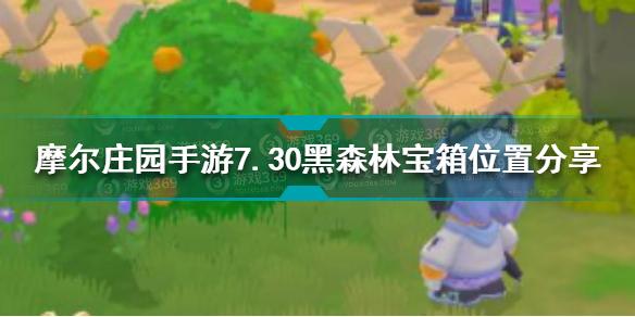 摩尔庄园手游7月30日黑森林宝箱在哪 7.30黑森林宝箱位置分享