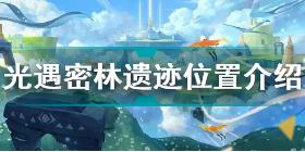 光遇密林遗迹在哪 光遇密林遗迹位置介绍