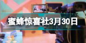 蜜蜂惊喜社直播预告清单3.30 3月30日蜜蜂惊喜社直播内容