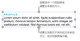 Pages添加文本教程2