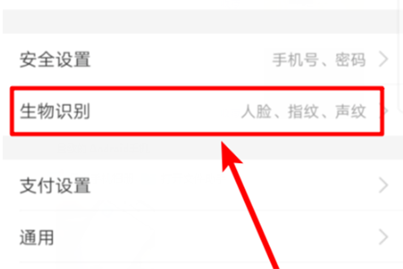 找到“生物识别”这一选项
