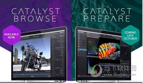 Catalyst Browse Windows版 V2020.1 免费注册码版