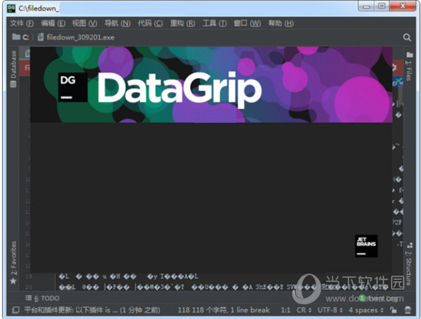 DataGrip2021中文破解版 V2021.1 免费版