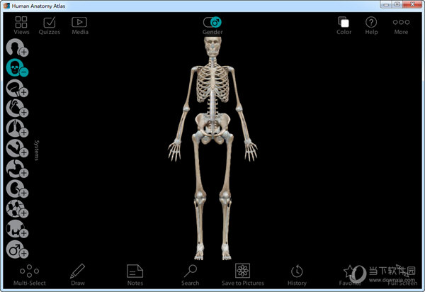 Human Anatomy Atlas中文破解版 V2021 最新免费版