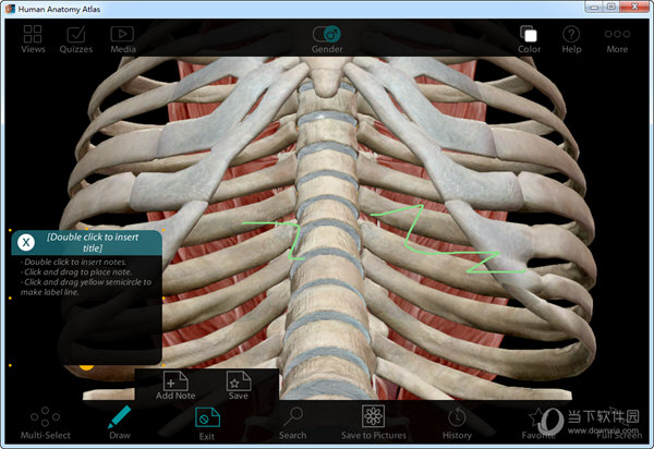Human Anatomy Atlas Windows中文版 V2021 PC汉化版