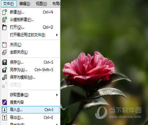 coreldraw x4中文简体破解版 32/64位 免序列号版