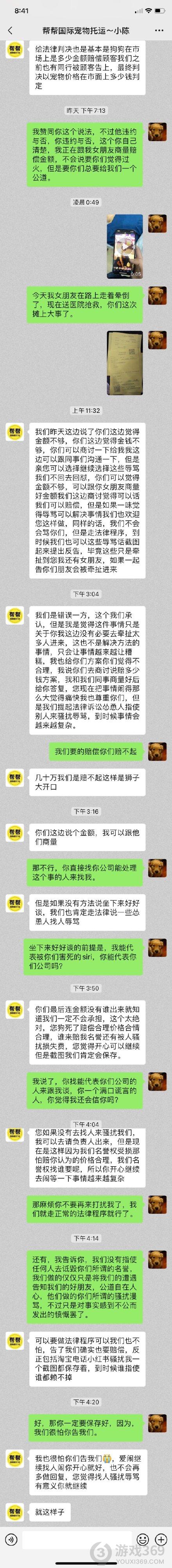 金毛siri在托运过程中死亡 金毛siri死亡