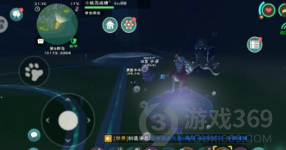 创造与魔法海葵花在哪 创造与魔法海葵花获得方法