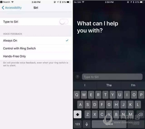 输入文字调戏 Siri 