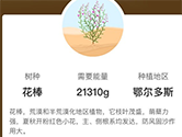 支付宝蚂蚁森林花棒什么时候推出 花棒更新时间