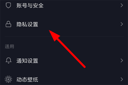 找到“隐私设置”