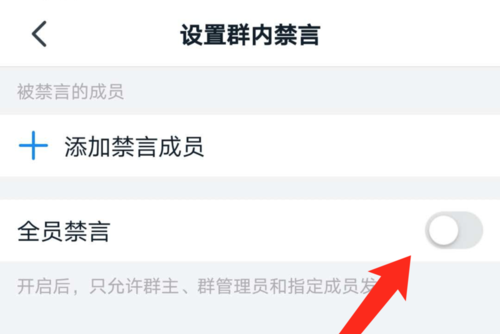 钉钉设置群内禁言界面