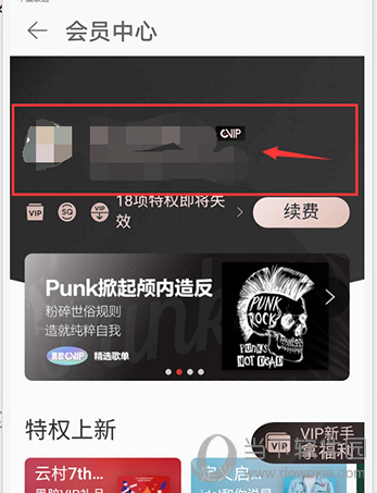 网易云音乐我的vip