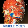 Muscle Premium(3D人体骨骼/肌肉图谱) V3.1.3 官方版