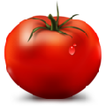 标准蕃茄钟 V1.3.0 免费版