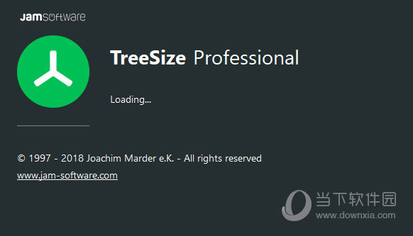 TreeSize Pro中文破解版 V8.0.3.1507 绿色汉化版