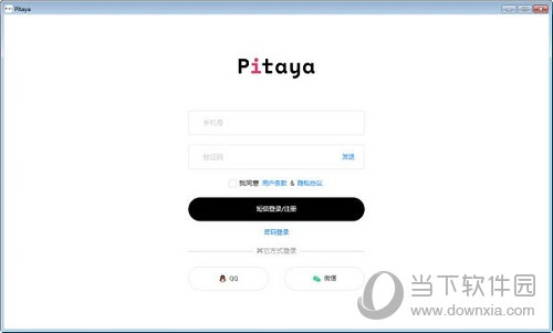 Pitaya(写作辅助工具) V2021 免费版