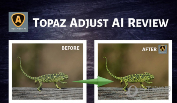 Topaz Adjust AI绿色破解版 V1.0.5 汉化免费版