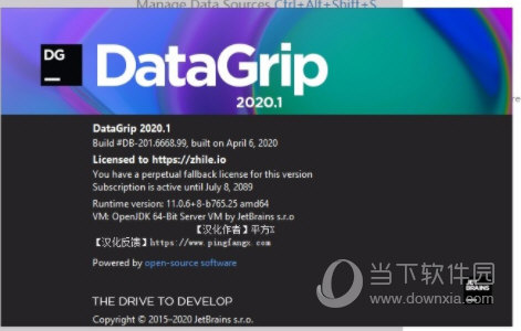 jetbrains datagrip汉化包 V2020 绿色免费版