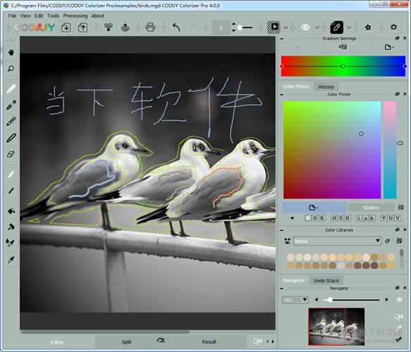 CODIJY Colorizer Pro(图片着色工具) V4.0.0 破解版