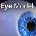 3D Eye Model(眼球3D模型) V1.0 免费版